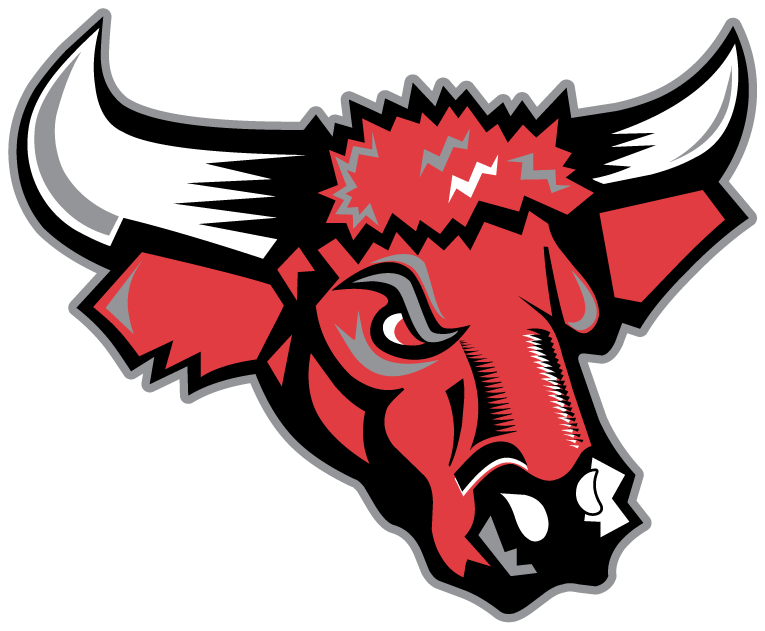 Nebraska-Omaha Mavericks 1997-2003 Secondary Logo diy DTF decal sticker